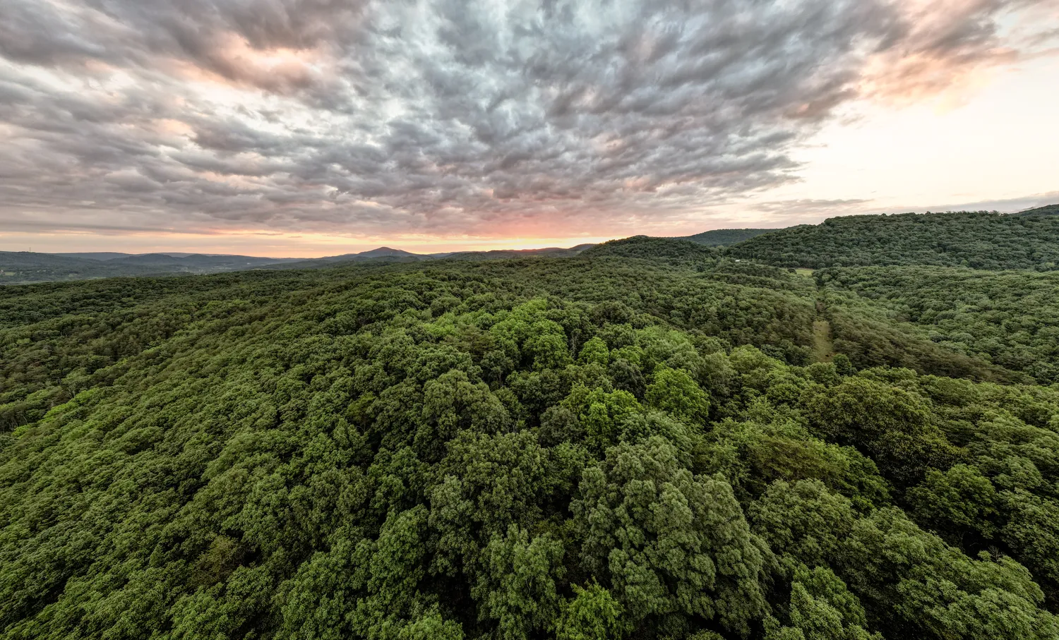 Drone shot of mountains and trees in Allegany County, Maryland.