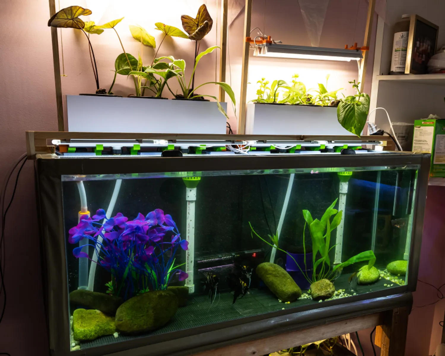 Aquatic Circle Hydroponic Garden And Fish Tank