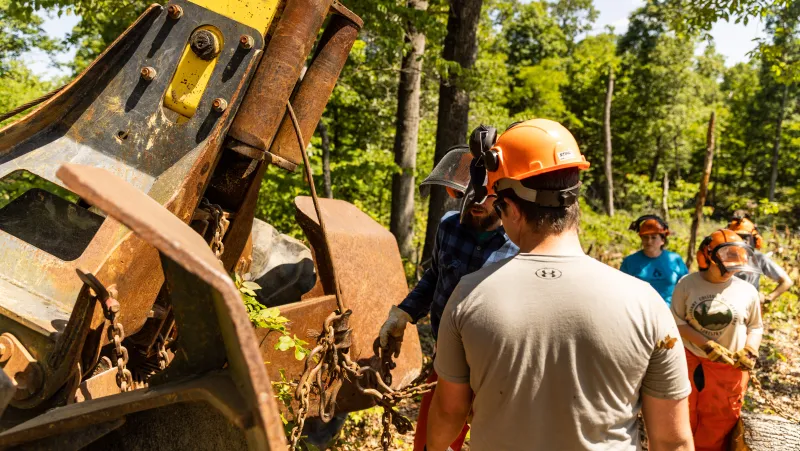 Allegany County Economic And Community Development Forestry